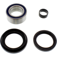 Wheel bearing and seal kit 251003