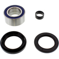 Wheel bearing and seal kit 251005