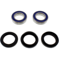 Wheel bearing and seal kit 251108