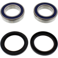 Wheel bearing and seal kit 251331