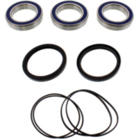 Wheel bearing and seal kit 251479