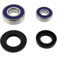 Wheel bearing and seal kit 251500