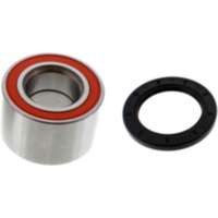 Wheel bearing and seal kit 251516