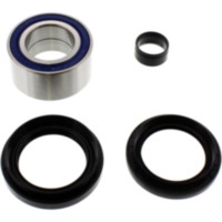 Wheel bearing and seal kit 251572