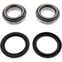Wheel bearing and seal kit 251151