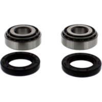 Wheel bearing and seal kit 251001