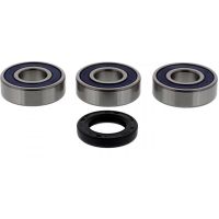 Wheel bearing and seal kit 251370