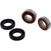 Wheel bearing and seal kit WBK334