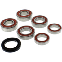 Wheel bearing and seal kit WBK458