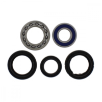 Wheel bearing and seal kit 251139