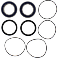 Wheel bearing and seal kit 251401