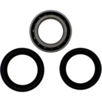 Wheel bearing and seal kit 251480