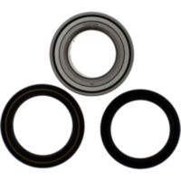 Wheel bearing and seal kit 251537