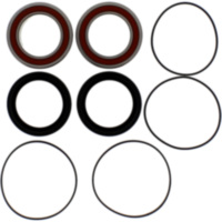 Wheel bearing and seal kit 251612