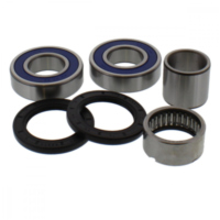 Wheel bearing and seal kit 251474