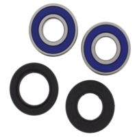 Wheel bearing and seal kit 251647