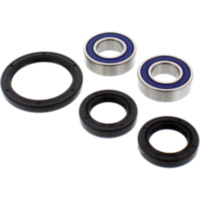 Wheel bearing and seal kit 251052