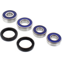 Wheel bearing and seal kit 251086