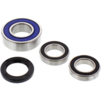 Wheel bearing and seal kit 251162