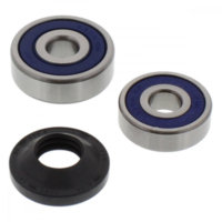 Wheel bearing and seal kit 251166