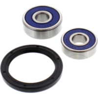 Wheel bearing and seal kit 251184