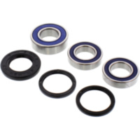 Wheel bearing and seal kit 251193