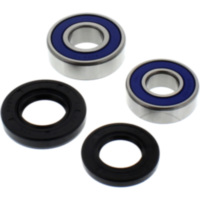 Wheel bearing and seal kit 251194