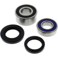 Wheel bearing and seal kit 251203