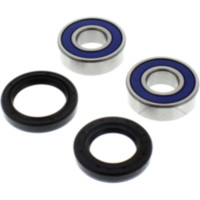 Wheel bearing and seal kit 251221