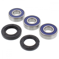 Wheel bearing and seal kit 251227