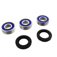 Wheel bearing and seal kit 251258