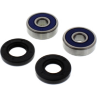 Wheel bearing and seal kit 251292