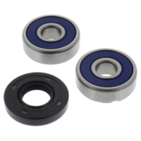 Wheel bearing and seal kit 251303