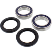 Wheel bearing and seal kit 251329