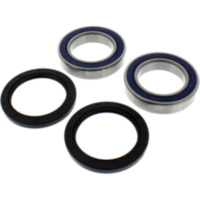 Wheel bearing and seal kit 251337