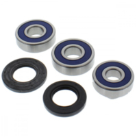 Wheel bearing and seal kit 251340