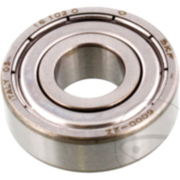 bearing 6000 zz skf