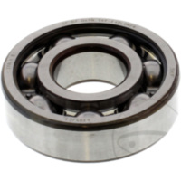 bearing 6305 c3 skf