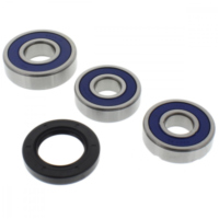 Wheel bearing and seal kit 251362