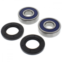 Wheel bearing and seal kit 251382