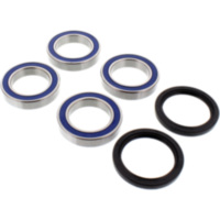 Wheel bearing and seal kit 251428