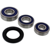 Wheel bearing and seal kit 251489