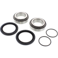 Wheel bearing and seal kit 251507