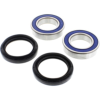 Wheel bearing and seal kit 251508