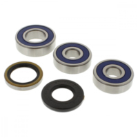 Wheel bearing and seal kit 251544