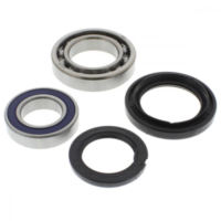 Wheel bearing and seal kit 251567