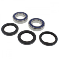 Wheel bearing and seal kit 251577