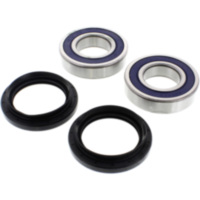 Wheel bearing kit 251693