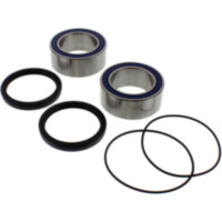 Bearing kit reinforced 251619