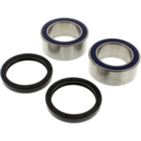 Bearing kit reinforced 251630